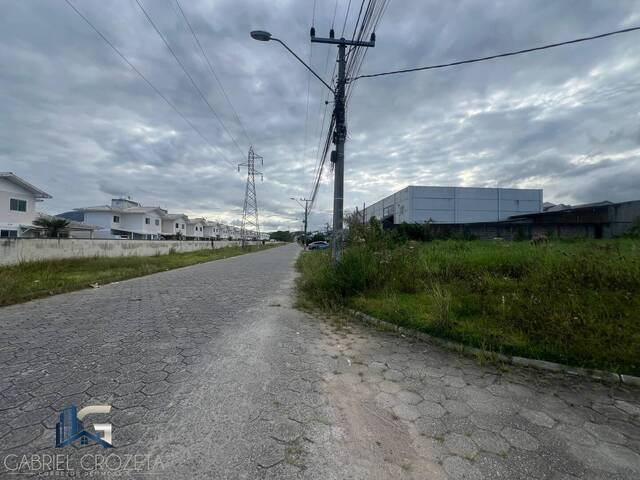 #239 - Área para Venda em São José - SC